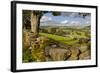 Farm Near Burnsall, Yorkshire Dales National Park, Yorkshire, England, United Kingdom, Europe-Miles Ertman-Framed Photographic Print