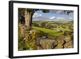 Farm Near Burnsall, Yorkshire Dales National Park, Yorkshire, England, United Kingdom, Europe-Miles Ertman-Framed Photographic Print