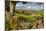 Farm Near Burnsall, Yorkshire Dales National Park, Yorkshire, England, United Kingdom, Europe-Miles Ertman-Mounted Photographic Print