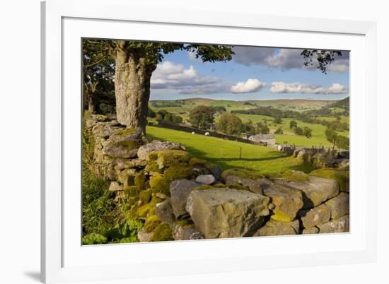 Farm Near Burnsall, Yorkshire Dales National Park, Yorkshire, England, United Kingdom, Europe-Miles Ertman-Framed Photographic Print