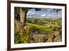 Farm Near Burnsall, Yorkshire Dales National Park, Yorkshire, England, United Kingdom, Europe-Miles Ertman-Framed Photographic Print