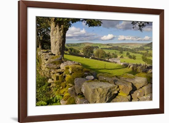 Farm Near Burnsall, Yorkshire Dales National Park, Yorkshire, England, United Kingdom, Europe-Miles Ertman-Framed Photographic Print