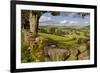 Farm Near Burnsall, Yorkshire Dales National Park, Yorkshire, England, United Kingdom, Europe-Miles Ertman-Framed Photographic Print