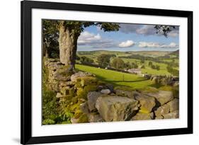 Farm Near Burnsall, Yorkshire Dales National Park, Yorkshire, England, United Kingdom, Europe-Miles Ertman-Framed Photographic Print