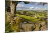 Farm Near Burnsall, Yorkshire Dales National Park, Yorkshire, England, United Kingdom, Europe-Miles Ertman-Mounted Photographic Print