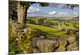 Farm Near Burnsall, Yorkshire Dales National Park, Yorkshire, England, United Kingdom, Europe-Miles Ertman-Mounted Photographic Print