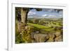 Farm Near Burnsall, Yorkshire Dales National Park, Yorkshire, England, United Kingdom, Europe-Miles Ertman-Framed Photographic Print