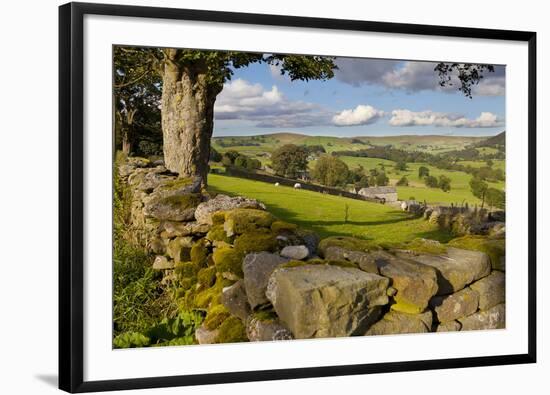 Farm Near Burnsall, Yorkshire Dales National Park, Yorkshire, England, United Kingdom, Europe-Miles Ertman-Framed Photographic Print