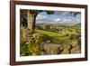 Farm Near Burnsall, Yorkshire Dales National Park, Yorkshire, England, United Kingdom, Europe-Miles Ertman-Framed Photographic Print