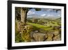 Farm Near Burnsall, Yorkshire Dales National Park, Yorkshire, England, United Kingdom, Europe-Miles Ertman-Framed Premium Photographic Print