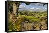 Farm Near Burnsall, Yorkshire Dales National Park, Yorkshire, England, United Kingdom, Europe-Miles Ertman-Framed Stretched Canvas