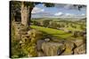 Farm Near Burnsall, Yorkshire Dales National Park, Yorkshire, England, United Kingdom, Europe-Miles Ertman-Stretched Canvas