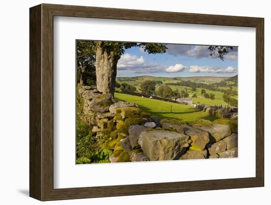 Farm Near Burnsall, Yorkshire Dales National Park, Yorkshire, England, United Kingdom, Europe-Miles Ertman-Framed Photographic Print