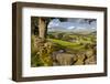 Farm Near Burnsall, Yorkshire Dales National Park, Yorkshire, England, United Kingdom, Europe-Miles Ertman-Framed Photographic Print