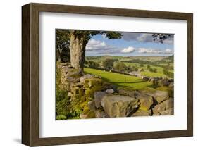 Farm Near Burnsall, Yorkshire Dales National Park, Yorkshire, England, United Kingdom, Europe-Miles Ertman-Framed Photographic Print