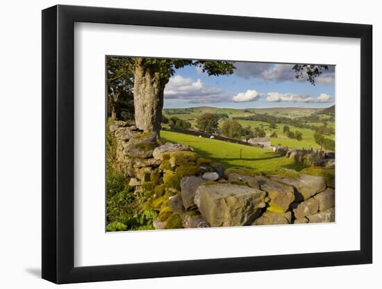 Farm Near Burnsall, Yorkshire Dales National Park, Yorkshire, England, United Kingdom, Europe-Miles Ertman-Framed Photographic Print