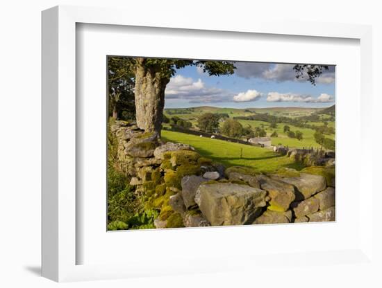 Farm Near Burnsall, Yorkshire Dales National Park, Yorkshire, England, United Kingdom, Europe-Miles Ertman-Framed Photographic Print