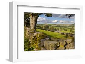 Farm Near Burnsall, Yorkshire Dales National Park, Yorkshire, England, United Kingdom, Europe-Miles Ertman-Framed Photographic Print