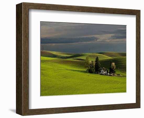 Farm near Colfax at Dusk, Palouse, Washington, USA-Charles Sleicher-Framed Photographic Print