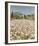 Farm Near Guillaumes-Hazel Barker-Framed Giclee Print