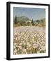 Farm Near Guillaumes-Hazel Barker-Framed Giclee Print