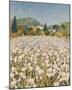 Farm Near Guillaumes-Hazel Barker-Mounted Giclee Print