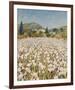 Farm Near Guillaumes-Hazel Barker-Framed Giclee Print