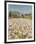 Farm Near Guillaumes-Hazel Barker-Framed Giclee Print