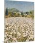 Farm Near Guillaumes-Hazel Barker-Mounted Giclee Print