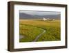 Farm near Hofn, Iceland, Polar Regions-Miles Ertman-Framed Photographic Print