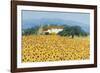 Farm Near Siena-Hazel Barker-Framed Giclee Print