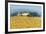 Farm Near Siena-Hazel Barker-Framed Giclee Print