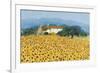 Farm Near Siena-Hazel Barker-Framed Giclee Print