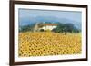 Farm Near Siena-Hazel Barker-Framed Giclee Print