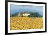 Farm Near Siena-Hazel Barker-Framed Giclee Print