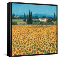 Farm Near Siena-Hazel Barker-Framed Stretched Canvas