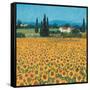 Farm Near Siena-Hazel Barker-Framed Stretched Canvas