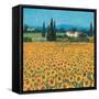 Farm Near Siena-Hazel Barker-Framed Stretched Canvas