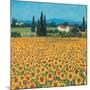 Farm Near Siena-Hazel Barker-Mounted Art Print