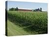 Farm, North Wood Park, Wisconsin, USA-Ethel Davies-Stretched Canvas