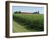 Farm, North Wood Park, Wisconsin, USA-Ethel Davies-Framed Photographic Print