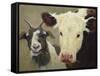 Farm Pals I-Carolyne Hawley-Framed Stretched Canvas