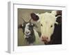 Farm Pals I-Carolyne Hawley-Framed Art Print