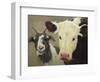 Farm Pals I-Carolyne Hawley-Framed Art Print