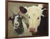 Farm Pals I-Carolyne Hawley-Framed Art Print