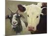 Farm Pals I-Carolyne Hawley-Mounted Art Print