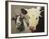Farm Pals I-Carolyne Hawley-Framed Art Print