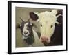 Farm Pals I-Carolyne Hawley-Framed Art Print