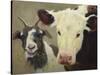 Farm Pals I-Carolyne Hawley-Stretched Canvas