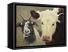 Farm Pals I-Carolyne Hawley-Framed Stretched Canvas